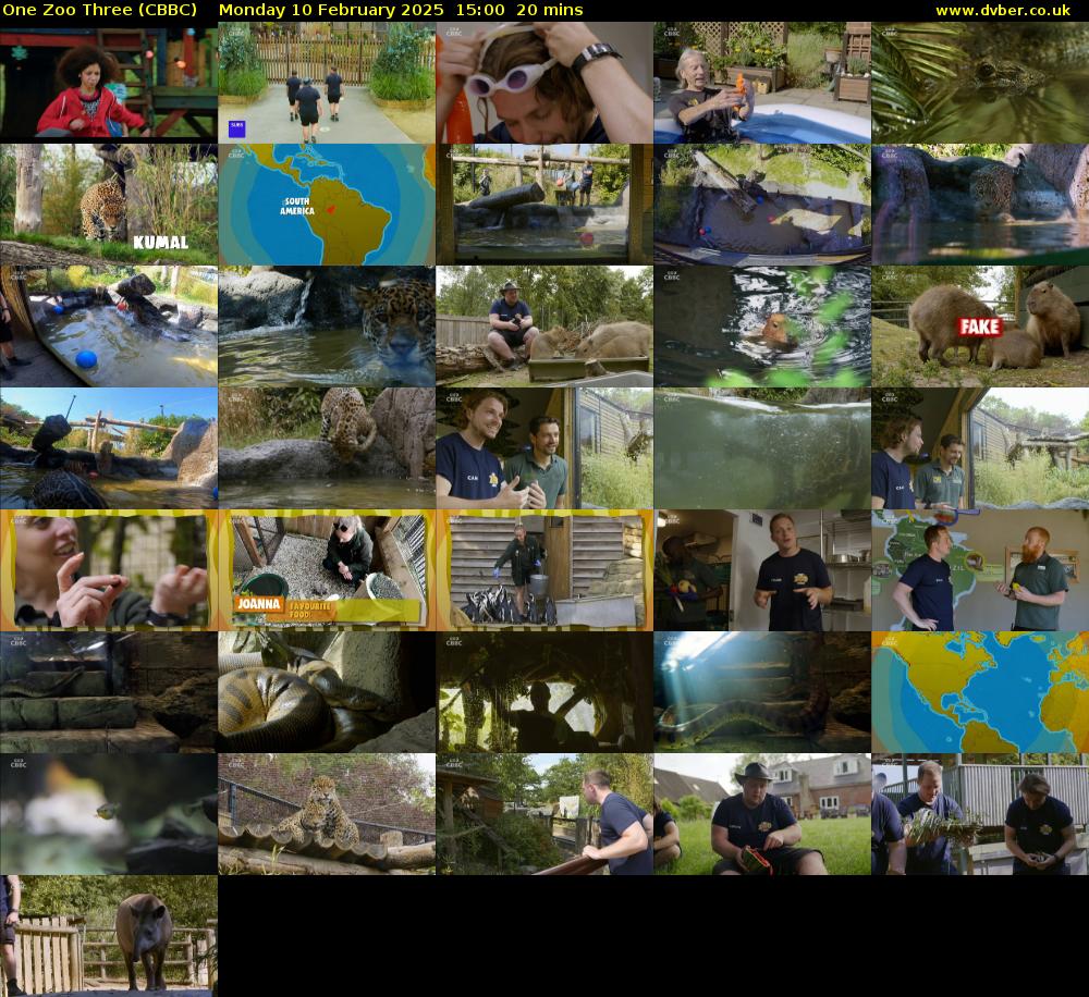 One Zoo Three (CBBC) Monday 10 February 2025 15:00 - 15:20