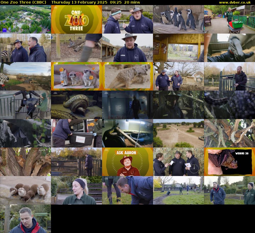 One Zoo Three (CBBC) Thursday 13 February 2025 09:25 - 09:45