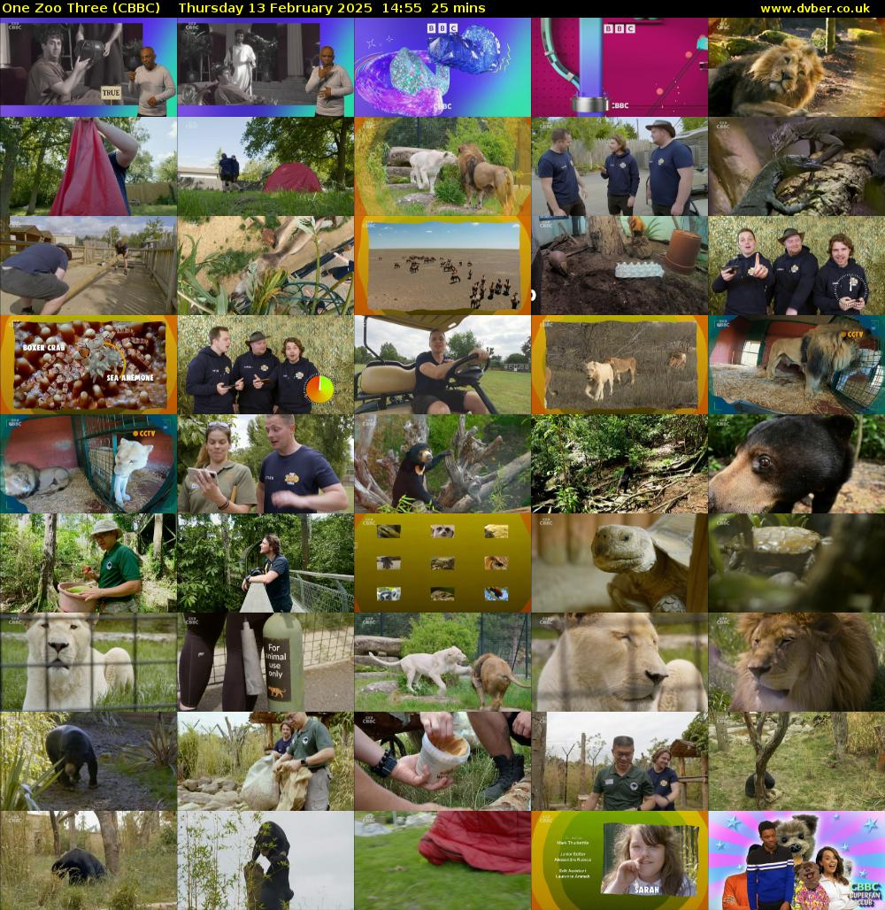 One Zoo Three (CBBC) Thursday 13 February 2025 14:55 - 15:20