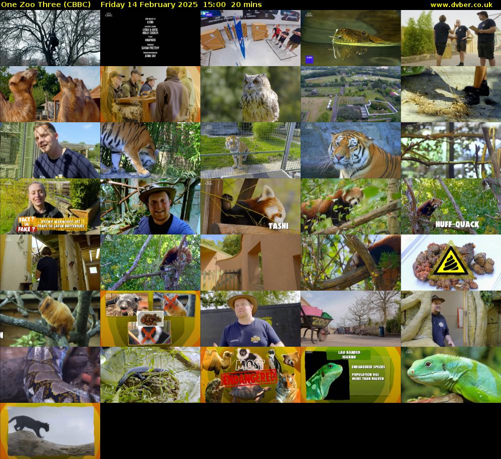One Zoo Three (CBBC) Friday 14 February 2025 15:00 - 15:20