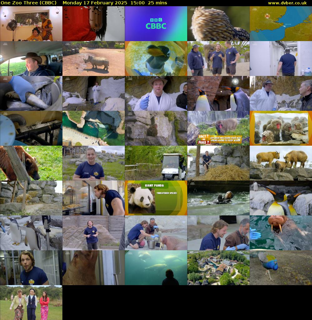 One Zoo Three (CBBC) Monday 17 February 2025 15:00 - 15:25
