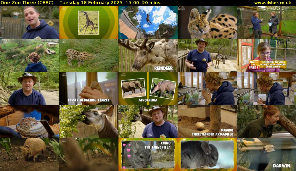 One Zoo Three (CBBC) Tuesday 18 February 2025 15:00 - 15:20