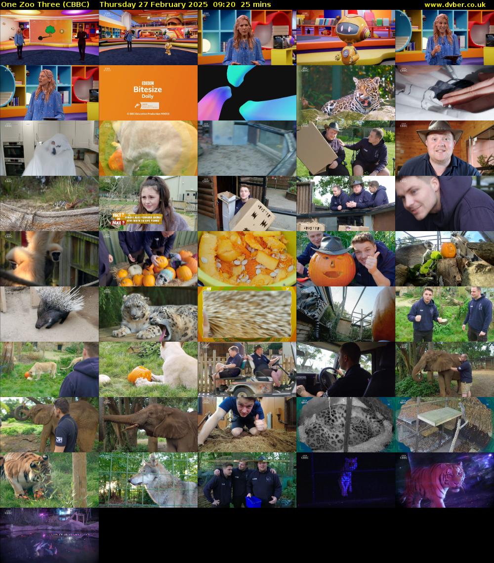 One Zoo Three (CBBC) Thursday 27 February 2025 09:20 - 09:45