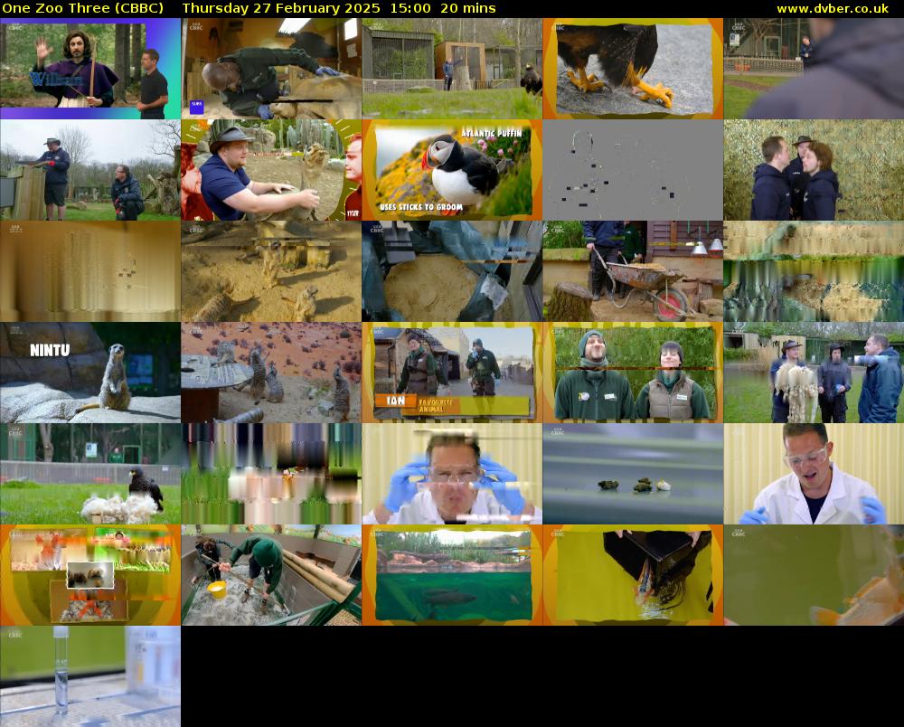 One Zoo Three (CBBC) Thursday 27 February 2025 15:00 - 15:20