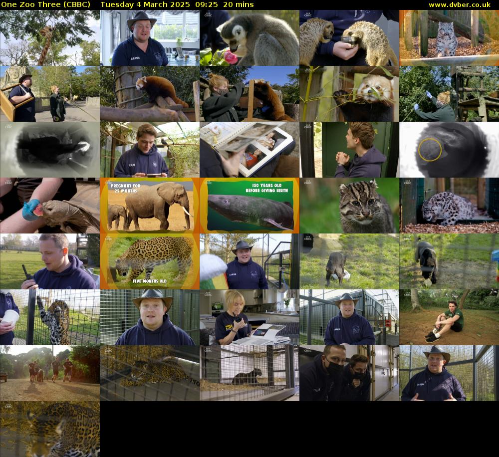 One Zoo Three (CBBC) Tuesday 4 March 2025 09:25 - 09:45
