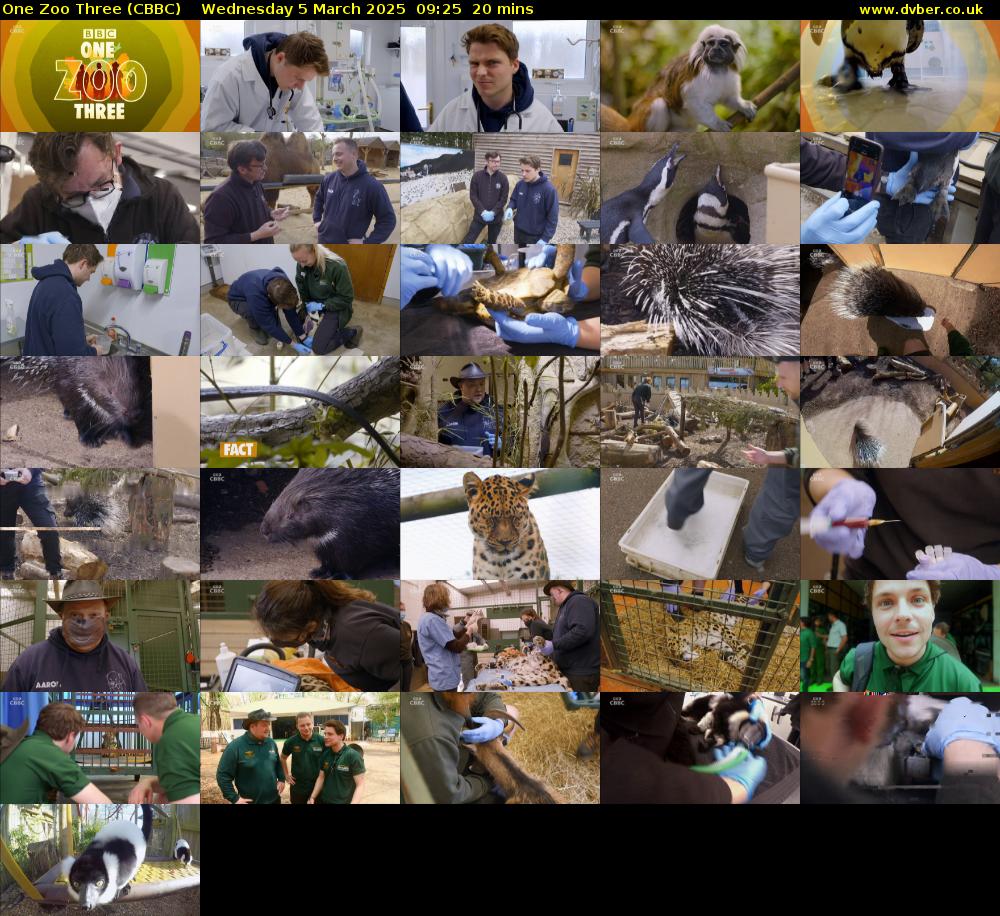 One Zoo Three (CBBC) Wednesday 5 March 2025 09:25 - 09:45