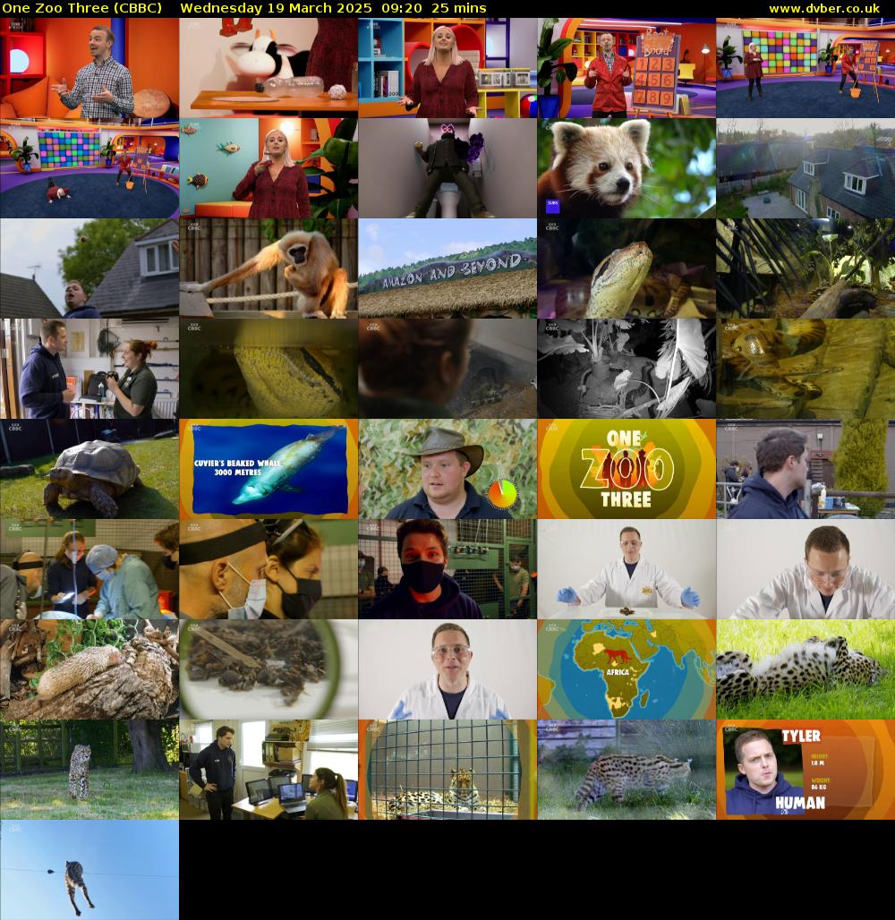 One Zoo Three (CBBC) Wednesday 19 March 2025 09:20 - 09:45