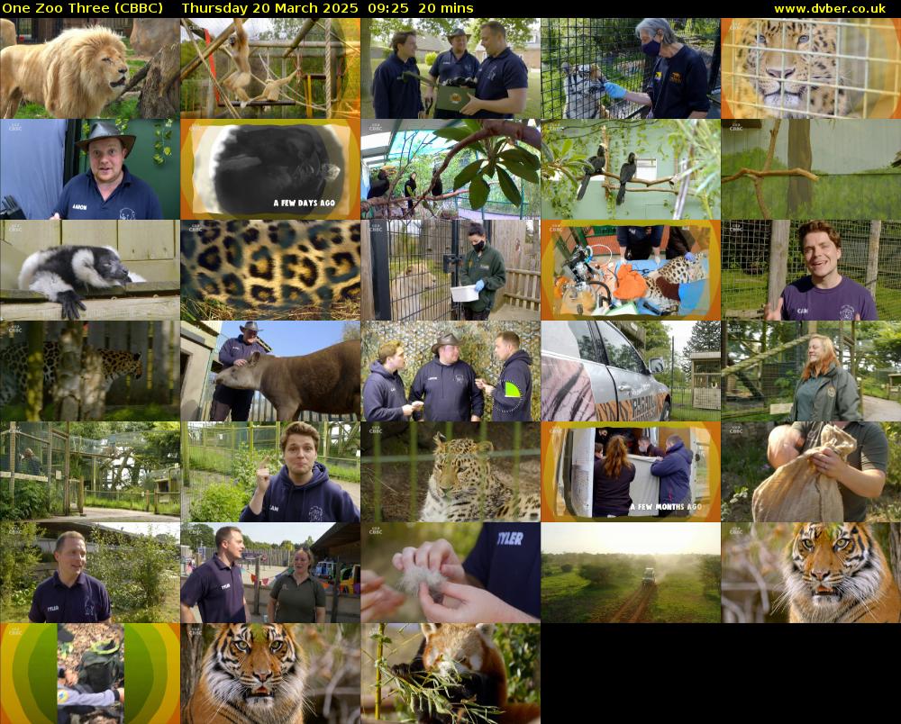 One Zoo Three (CBBC) Thursday 20 March 2025 09:25 - 09:45