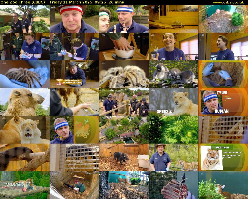 One Zoo Three (CBBC) Friday 21 March 2025 09:25 - 09:45