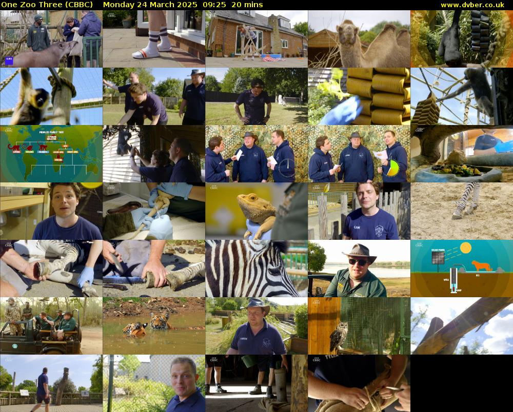 One Zoo Three (CBBC) Monday 24 March 2025 09:25 - 09:45