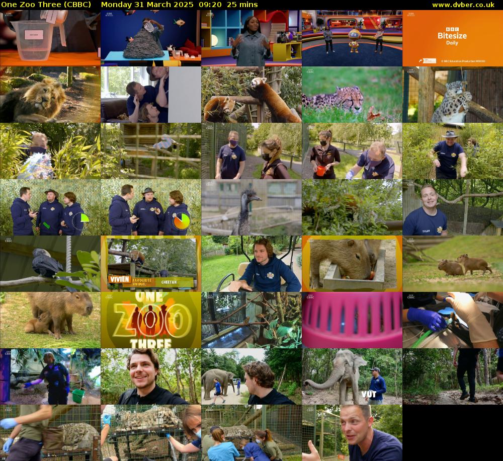 One Zoo Three (CBBC) Monday 31 March 2025 09:20 - 09:45