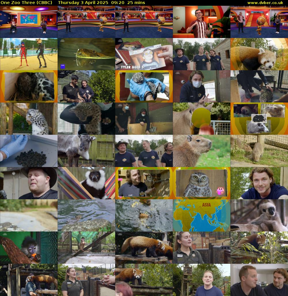 One Zoo Three (CBBC) Thursday 3 April 2025 09:20 - 09:45