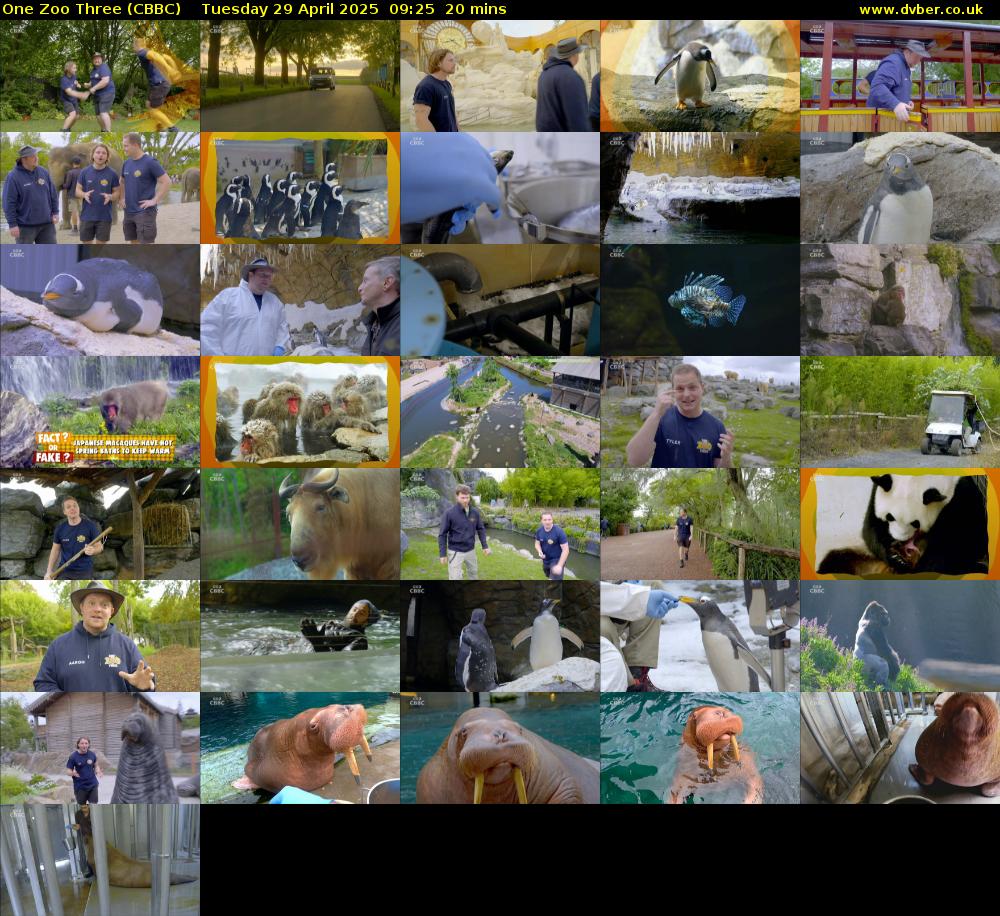 One Zoo Three (CBBC) Tuesday 29 April 2025 09:25 - 09:45