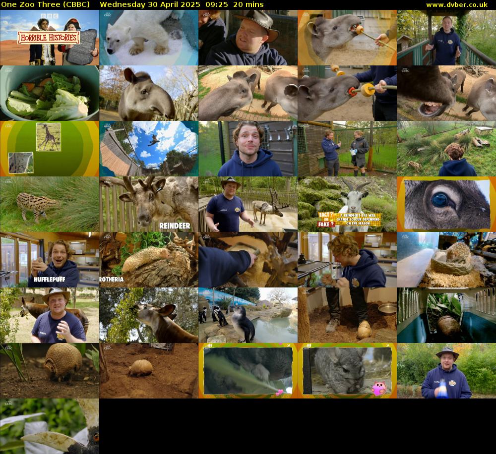 One Zoo Three (CBBC) Wednesday 30 April 2025 09:25 - 09:45