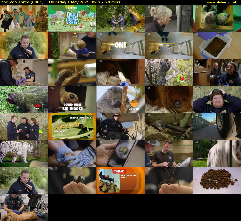 One Zoo Three (CBBC) Thursday 1 May 2025 09:25 - 09:45