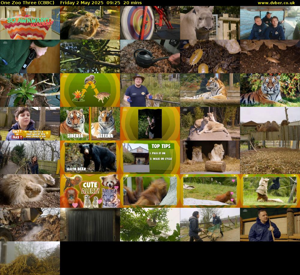 One Zoo Three (CBBC) Friday 2 May 2025 09:25 - 09:45