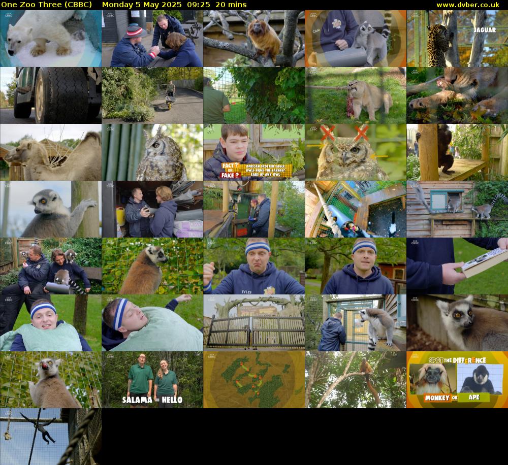 One Zoo Three (CBBC) Monday 5 May 2025 09:25 - 09:45