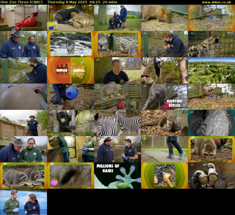 One Zoo Three (CBBC) Thursday 8 May 2025 09:25 - 09:45
