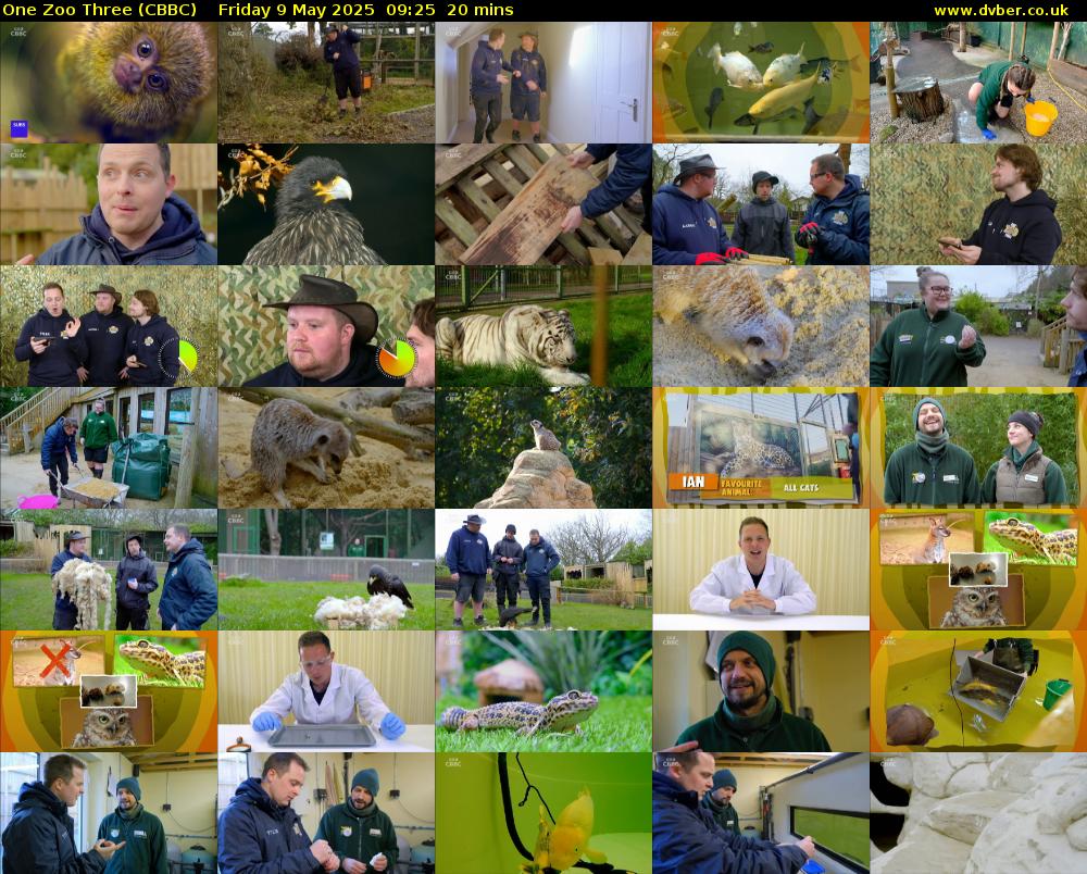 One Zoo Three (CBBC) Friday 9 May 2025 09:25 - 09:45
