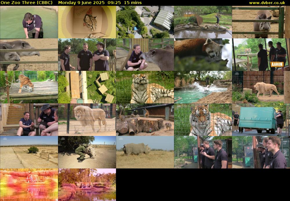 One Zoo Three (CBBC) Monday 9 June 2025 09:25 - 09:40