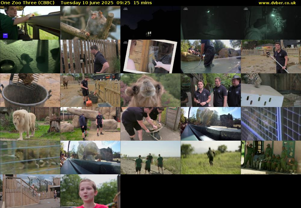 One Zoo Three (CBBC) Tuesday 10 June 2025 09:25 - 09:40