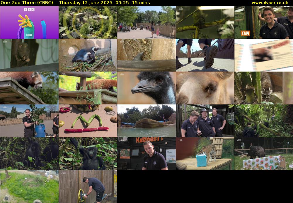 One Zoo Three (CBBC) Thursday 12 June 2025 09:25 - 09:40