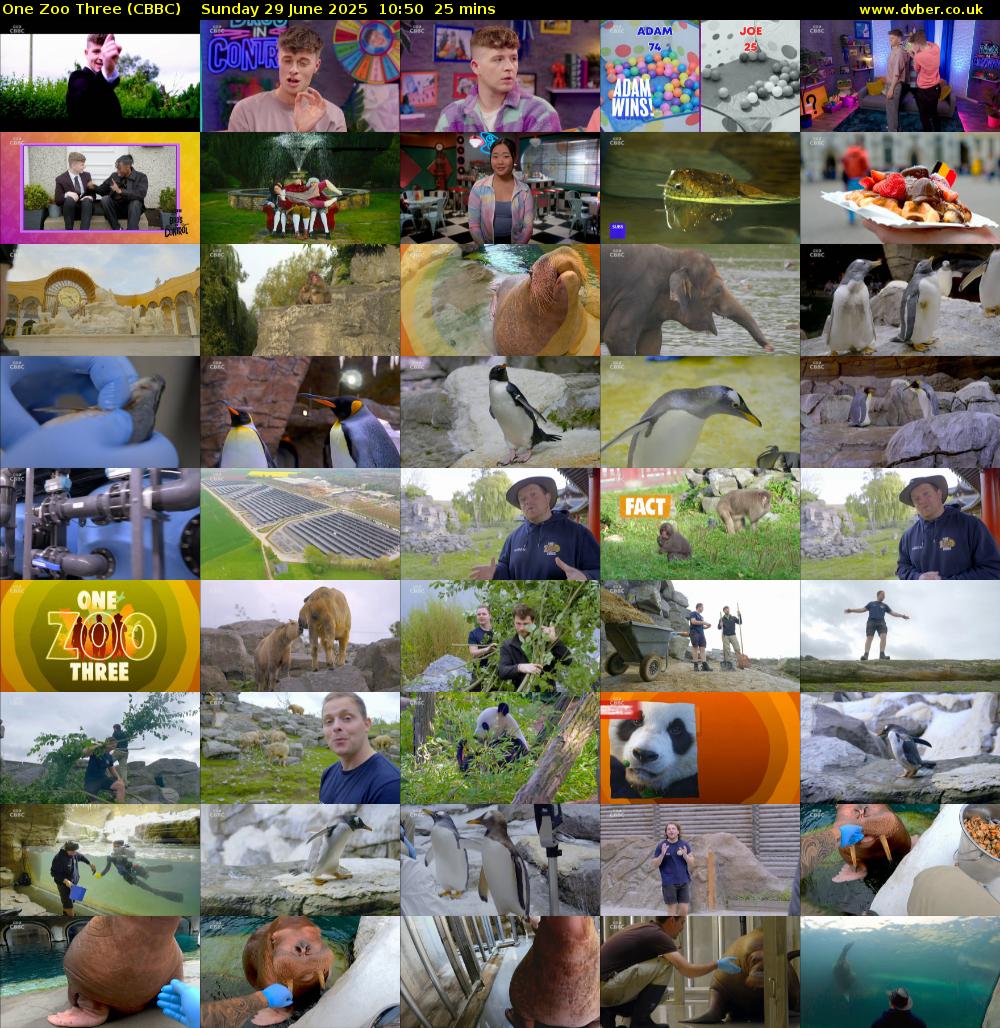One Zoo Three (CBBC) Sunday 29 June 2025 10:50 - 11:15