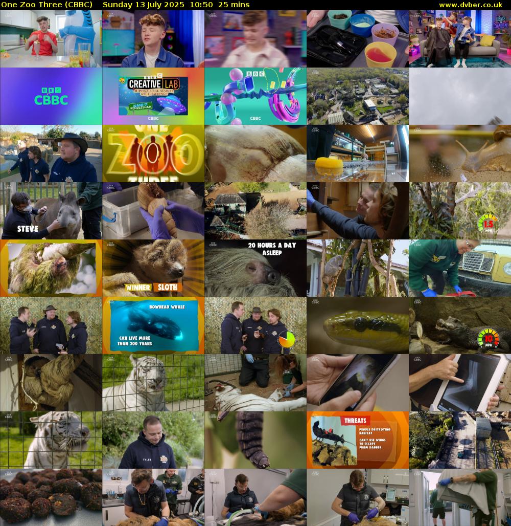 One Zoo Three (CBBC) Sunday 13 July 2025 10:50 - 11:15