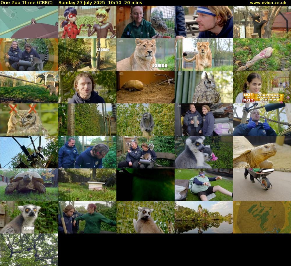 One Zoo Three (CBBC) Sunday 27 July 2025 10:50 - 11:10