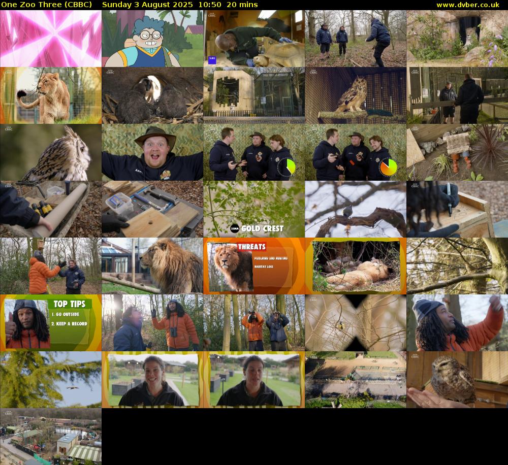 One Zoo Three (CBBC) Sunday 3 August 2025 10:50 - 11:10