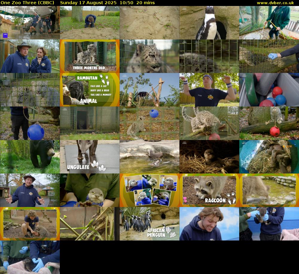 One Zoo Three (CBBC) Sunday 17 August 2025 10:50 - 11:10