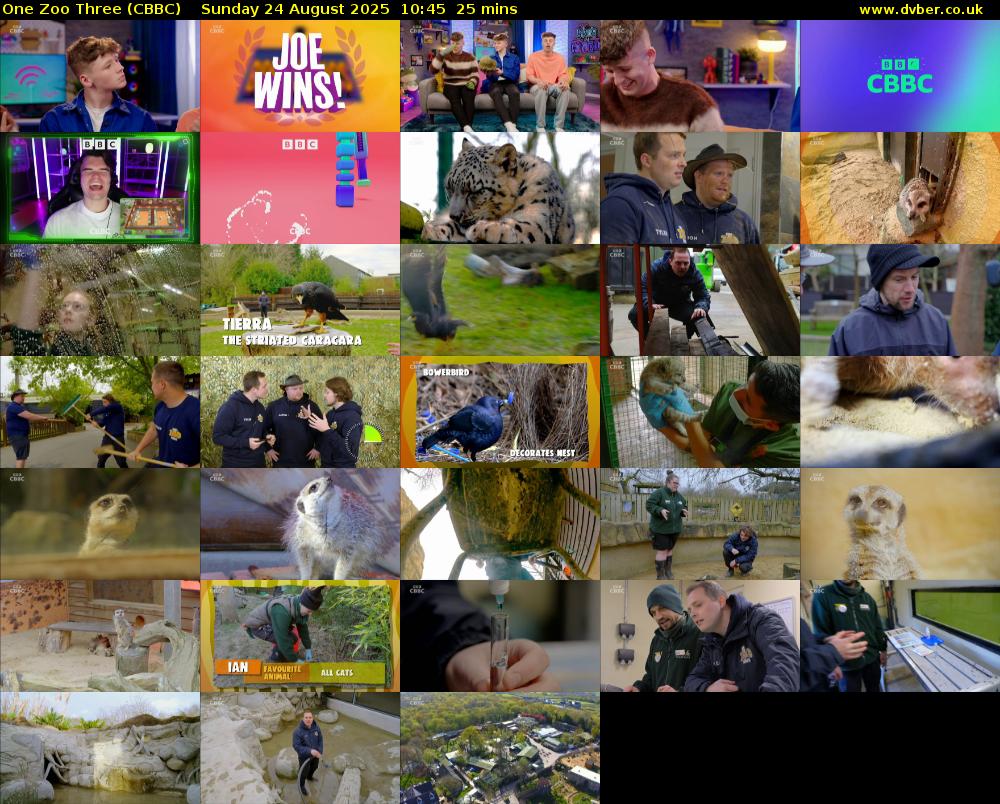 One Zoo Three (CBBC) Sunday 24 August 2025 10:45 - 11:10