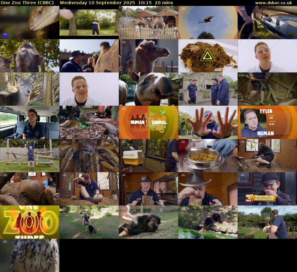 One Zoo Three (CBBC) Wednesday 10 September 2025 10:15 - 10:35