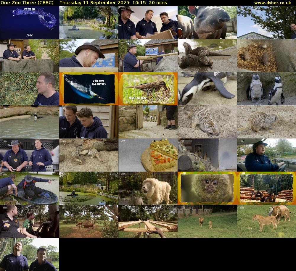 One Zoo Three (CBBC) Thursday 11 September 2025 10:15 - 10:35