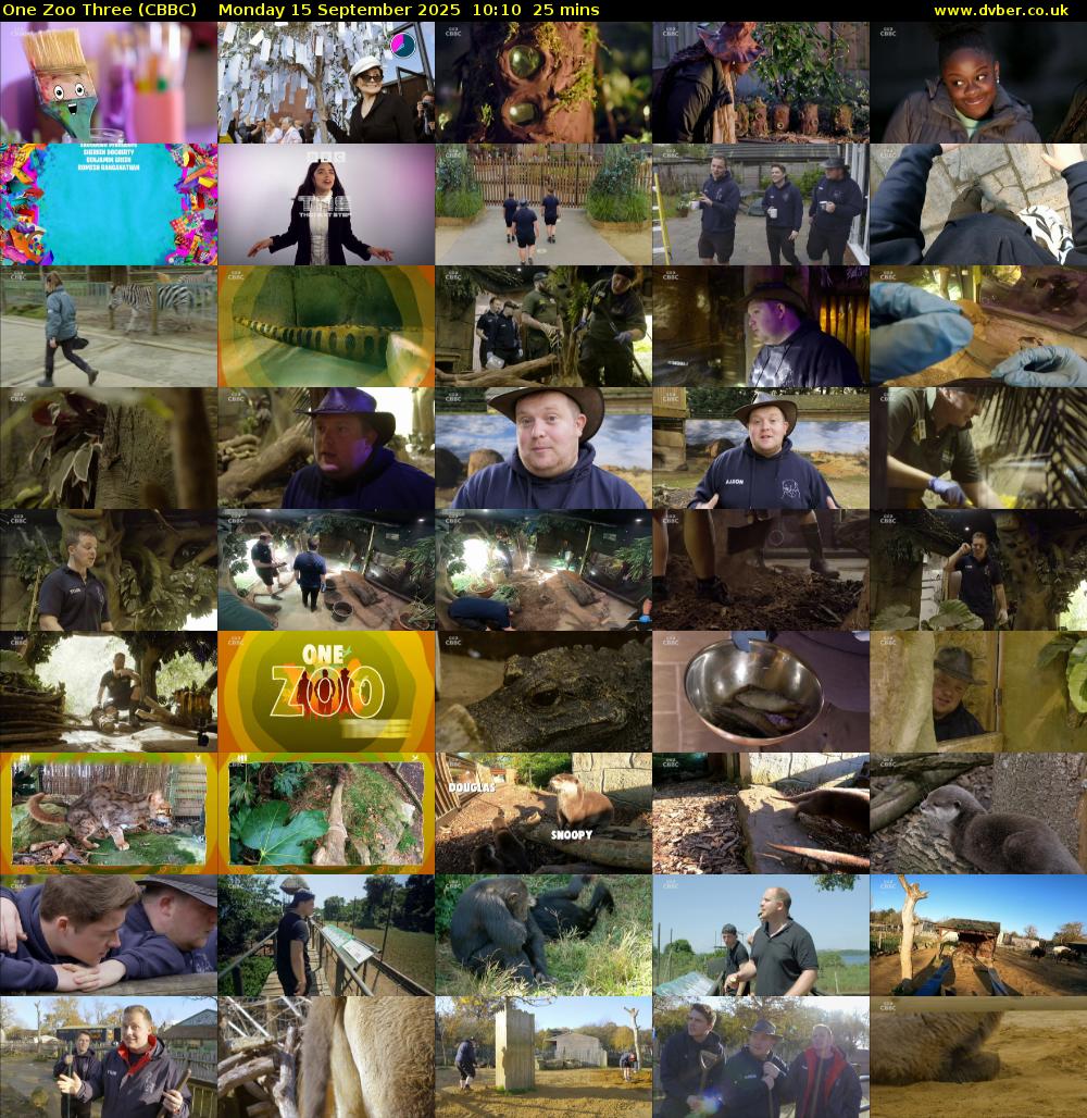 One Zoo Three (CBBC) Monday 15 September 2025 10:10 - 10:35