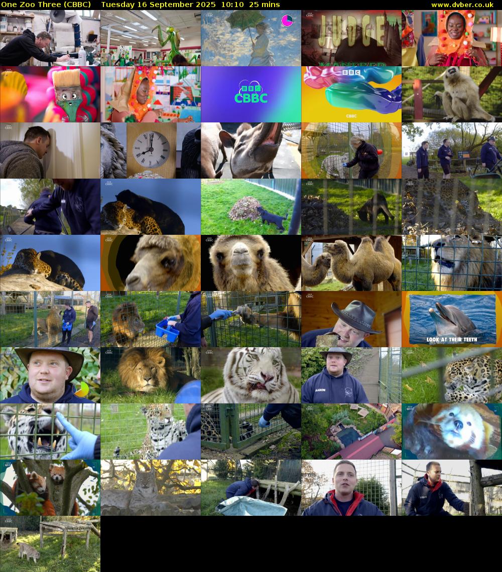 One Zoo Three (CBBC) Tuesday 16 September 2025 10:10 - 10:35