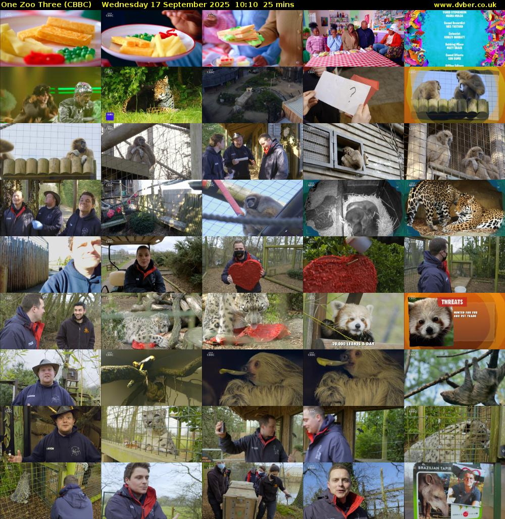 One Zoo Three (CBBC) Wednesday 17 September 2025 10:10 - 10:35