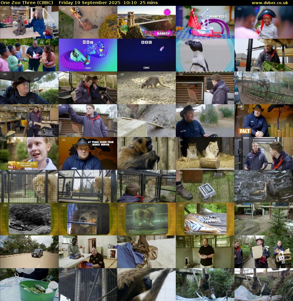 One Zoo Three (CBBC) Friday 19 September 2025 10:10 - 10:35