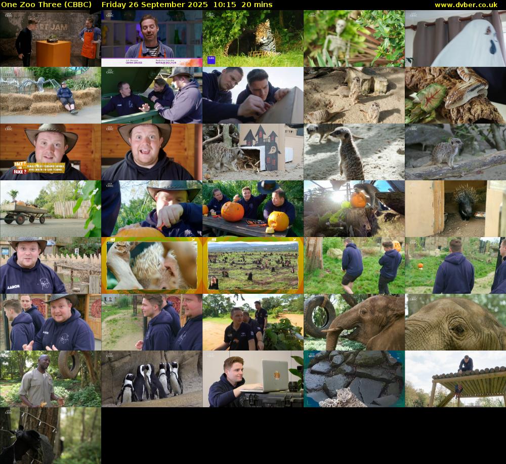 One Zoo Three (CBBC) Friday 26 September 2025 10:15 - 10:35