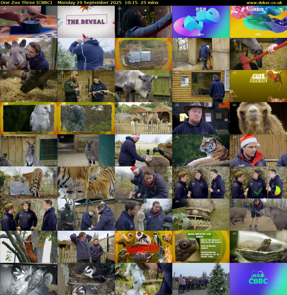 One Zoo Three (CBBC) Monday 29 September 2025 10:15 - 10:40