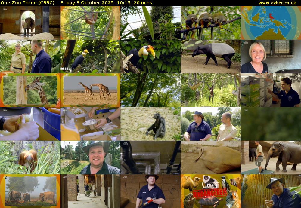 One Zoo Three (CBBC) Friday 3 October 2025 10:15 - 10:35
