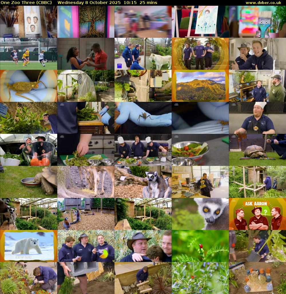 One Zoo Three (CBBC) Wednesday 8 October 2025 10:15 - 10:40