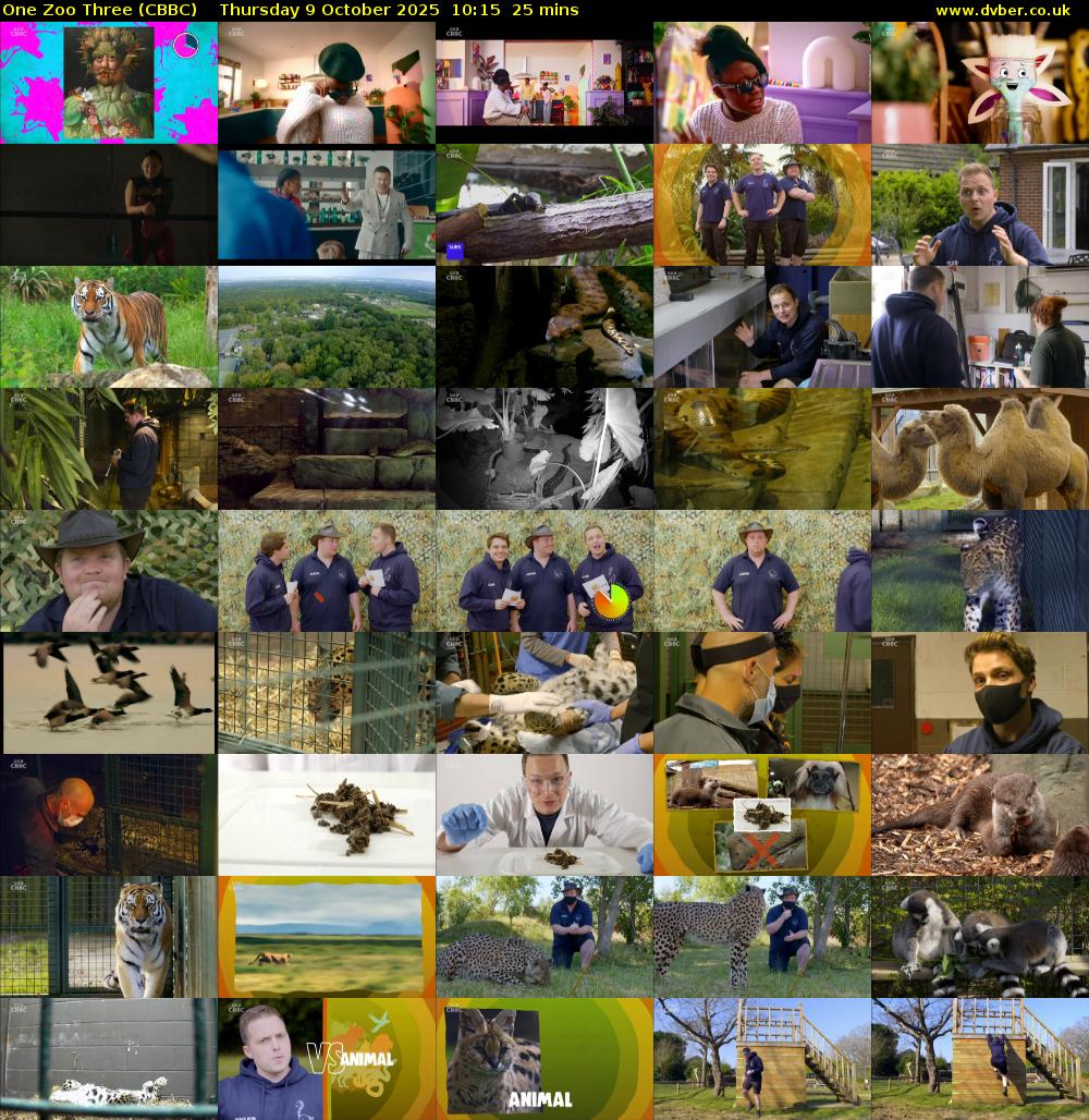 One Zoo Three (CBBC) Thursday 9 October 2025 10:15 - 10:40