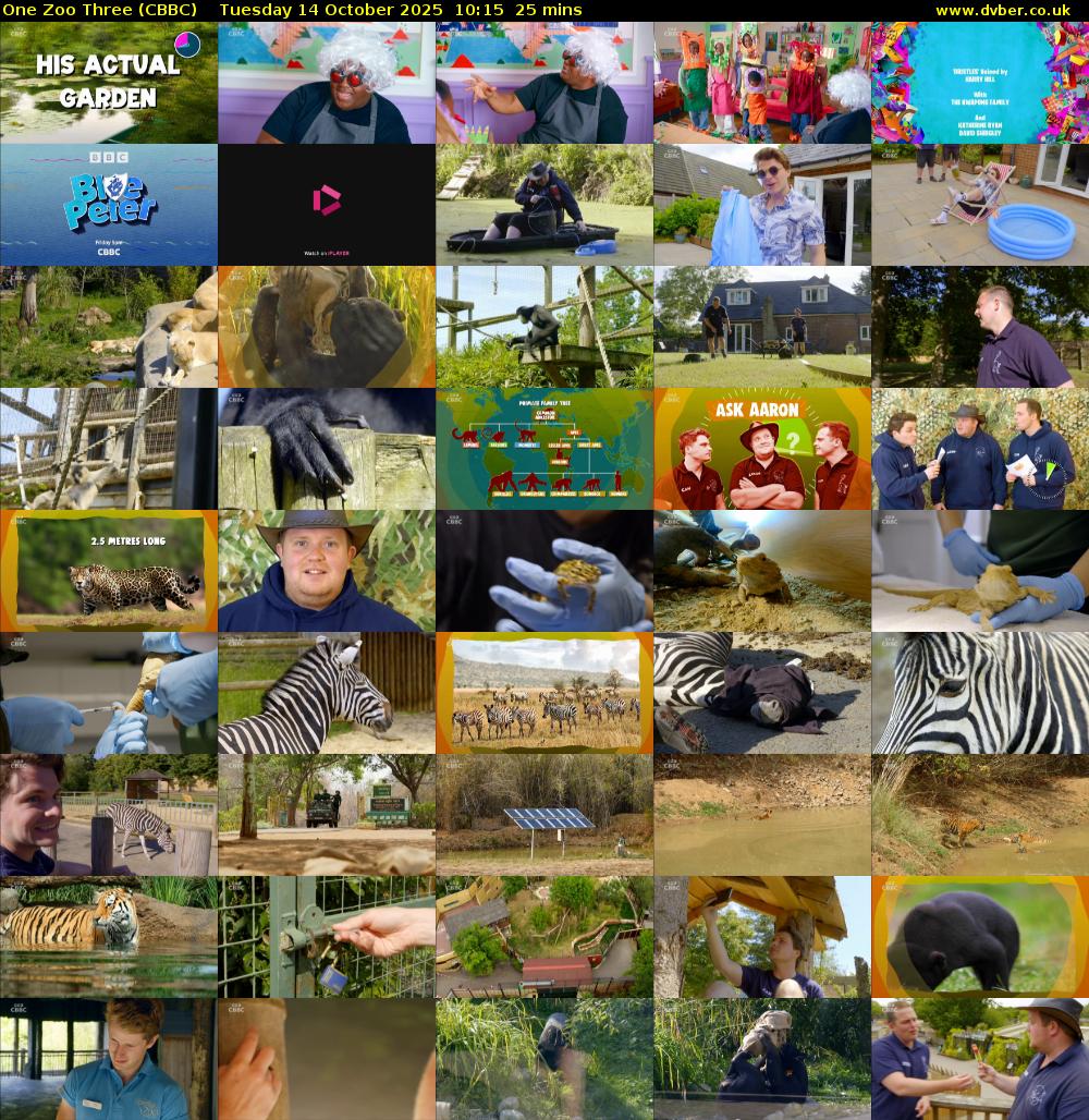 One Zoo Three (CBBC) Tuesday 14 October 2025 10:15 - 10:40