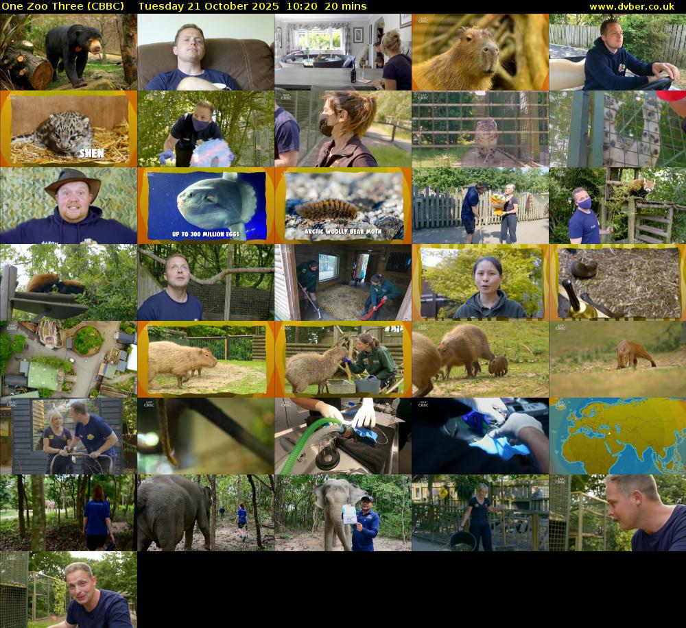 One Zoo Three (CBBC) Tuesday 21 October 2025 10:20 - 10:40