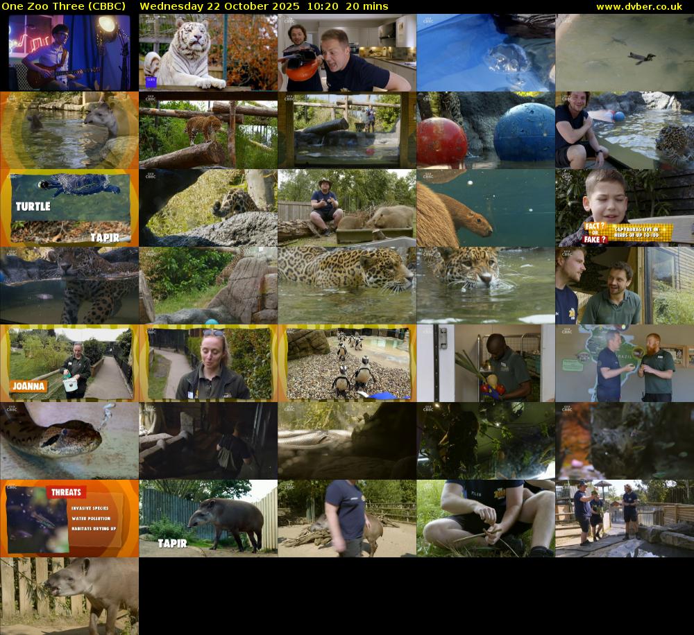 One Zoo Three (CBBC) Wednesday 22 October 2025 10:20 - 10:40