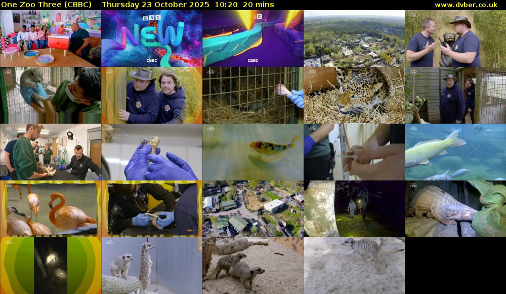 One Zoo Three (CBBC) Thursday 23 October 2025 10:20 - 10:40