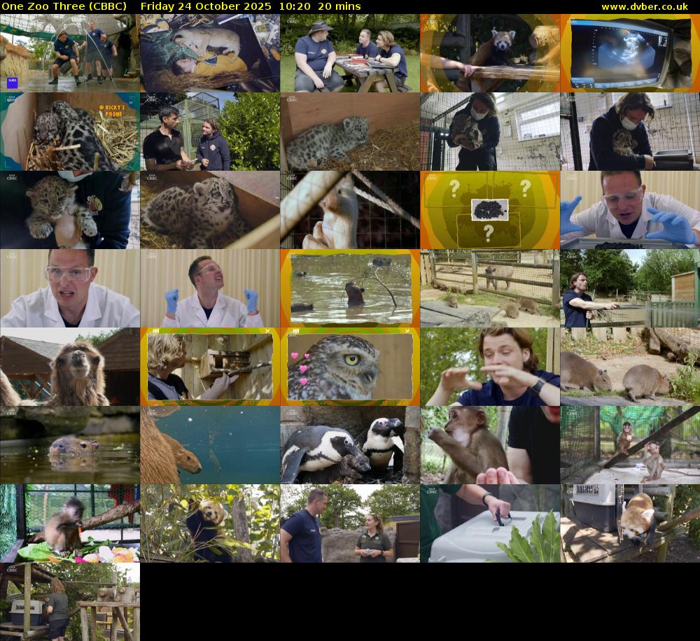 One Zoo Three (CBBC) Friday 24 October 2025 10:20 - 10:40