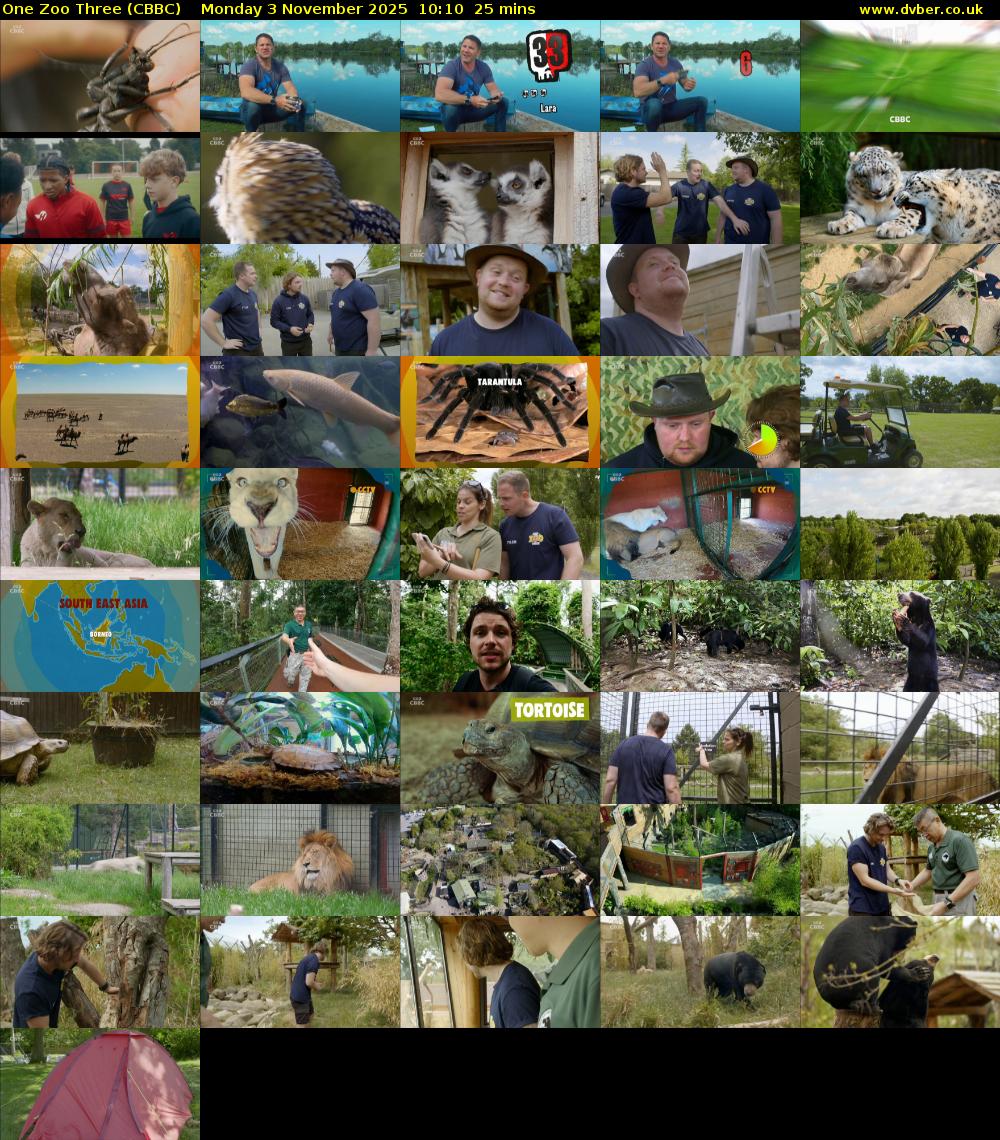 One Zoo Three (CBBC) Monday 3 November 2025 10:10 - 10:35