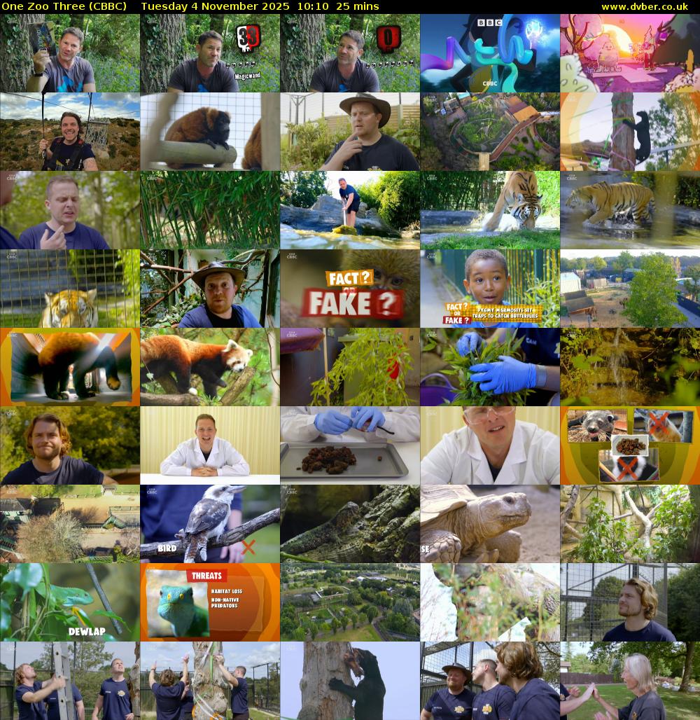 One Zoo Three (CBBC) Tuesday 4 November 2025 10:10 - 10:35